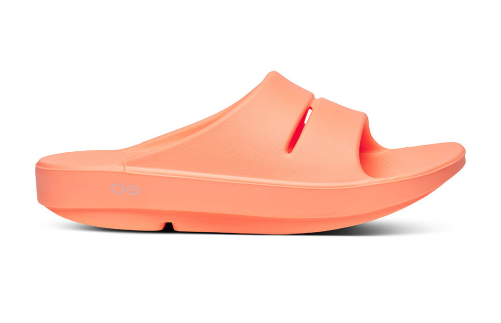 1100SUN OOahh Sunburst - Women's
