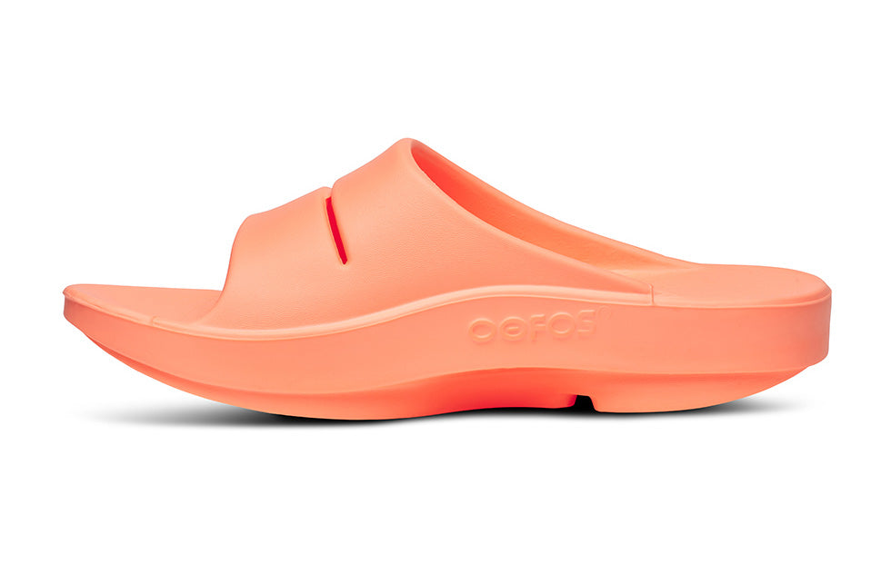 1100SUN OOahh Sunburst - Women's