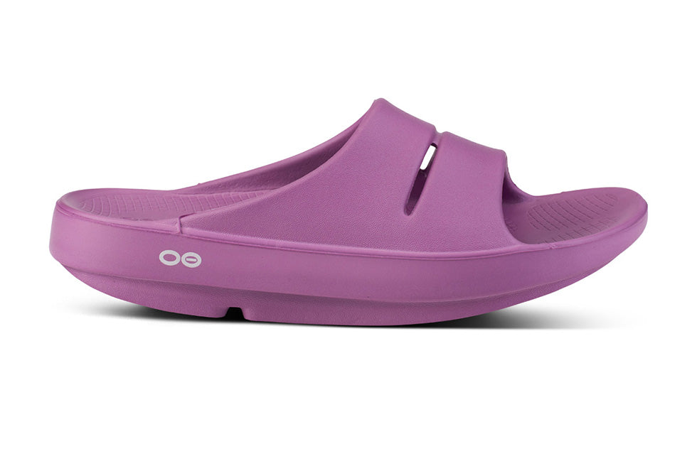 1100PLU OOahh Plum - Women's