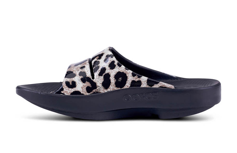 1103CHEE OOahh Ltd Cheetah - Women's