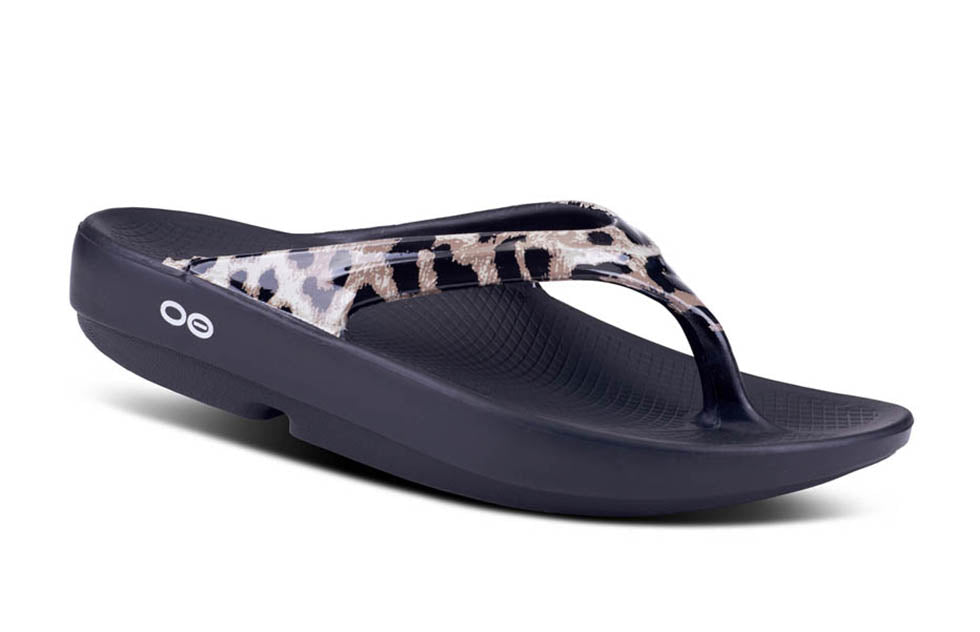 1403CHEE OOlala Ltd Cheetah - Women's